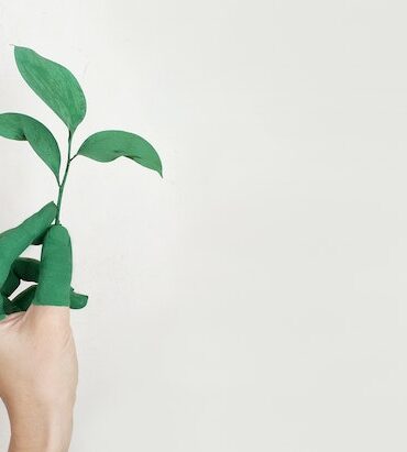 environnement
