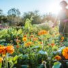 Jardiner sans pesticides : préserver notre environnement et notre santé