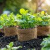Privilégiez les alternatives à la tourbe dans le jardinage pour préserver l’environnement